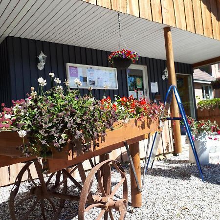 Bollingso Camping Engesvang Kültér fotó