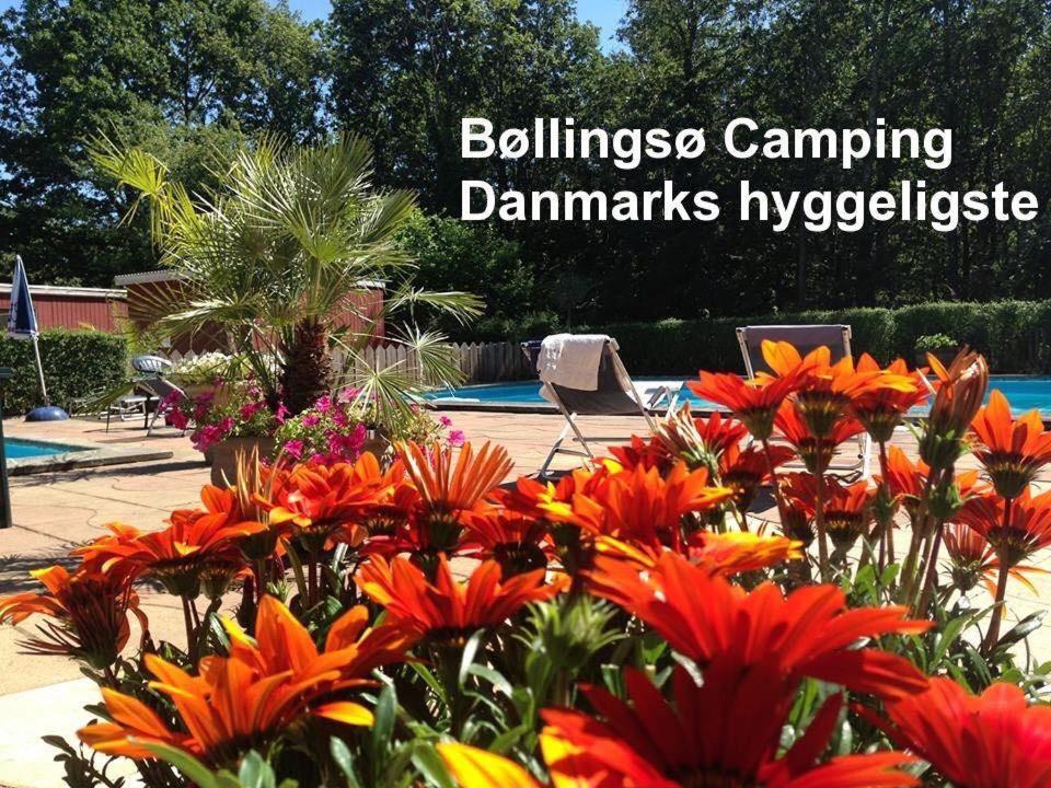 Bollingso Camping Engesvang Kültér fotó