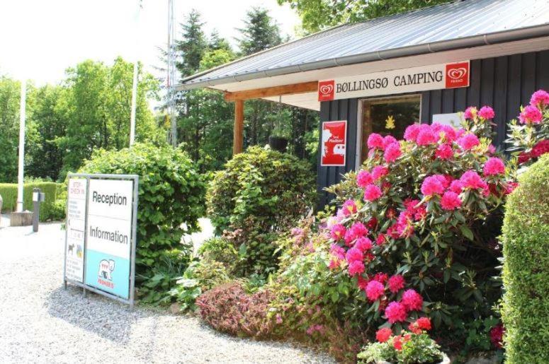 Bollingso Camping Engesvang Kültér fotó